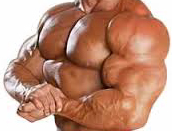 polygraph bodybuilder steroid human growth hormone